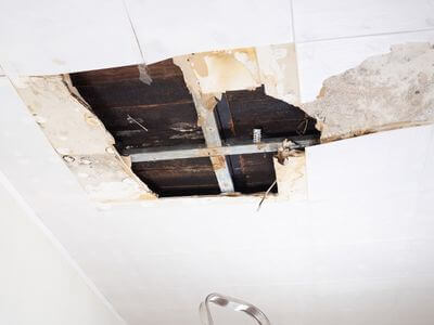 About Mold Remediation Near Me - mold remediation contractor experts in Wilmington